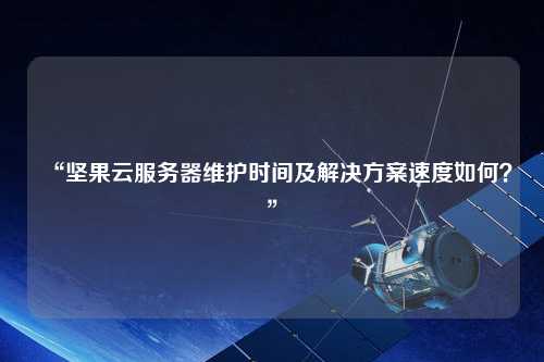 “堅果云服務器維護時間及解決方案速度如何？”