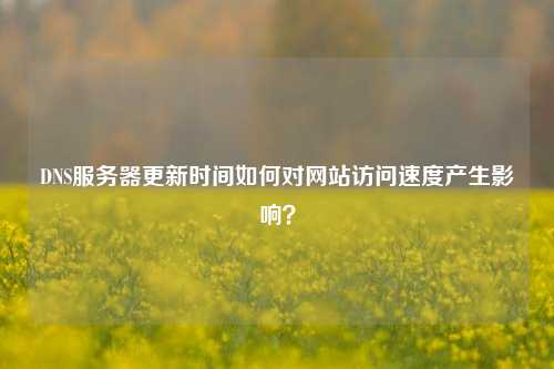 DNS服務(wù)器更新時(shí)間如何對(duì)網(wǎng)站訪問速度產(chǎn)生影響？