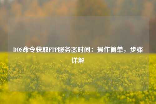 DOS命令獲取FTP服務(wù)器時間：操作簡單，步驟詳解