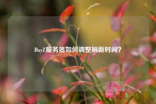 DayZ服務(wù)器如何調(diào)整刷新時(shí)間？