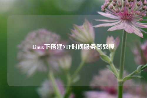 Linux下搭建NTP時間服務(wù)器教程