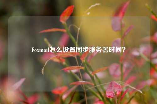 Foxmail怎么設(shè)置同步服務(wù)器時間？