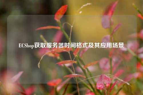 ECShop獲取服務(wù)器時(shí)間格式及其應(yīng)用場景