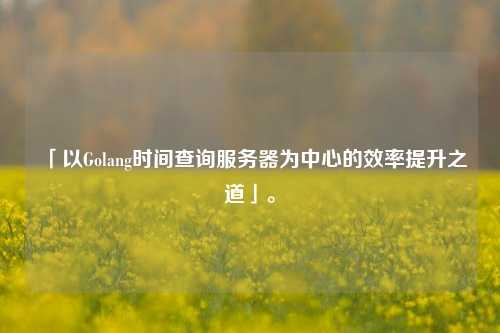 「以Golang時間查詢服務(wù)器為中心的效率提升之道」。