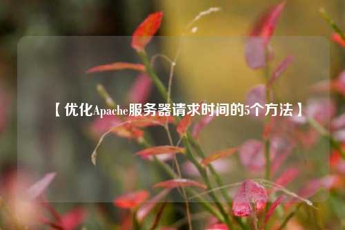 【優(yōu)化Apache服務器請求時間的5個方法】