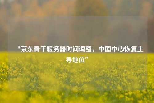 “京東骨干服務(wù)器時(shí)間調(diào)整，中國(guó)中心恢復(fù)主導(dǎo)地位”