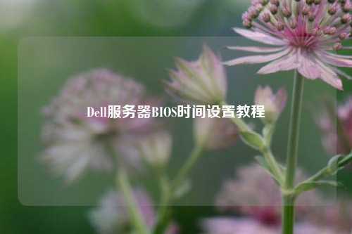 Dell服務(wù)器BIOS時間設(shè)置教程