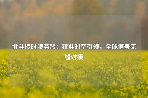 北斗授時(shí)服務(wù)器：精準(zhǔn)時(shí)空引領(lǐng)，全球信號(hào)無縫對(duì)接