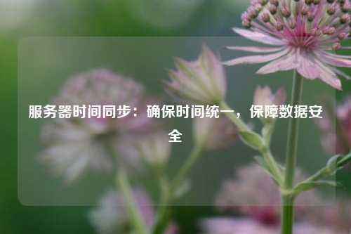 服務器時間同步：確保時間統(tǒng)一，保障數(shù)據(jù)安全