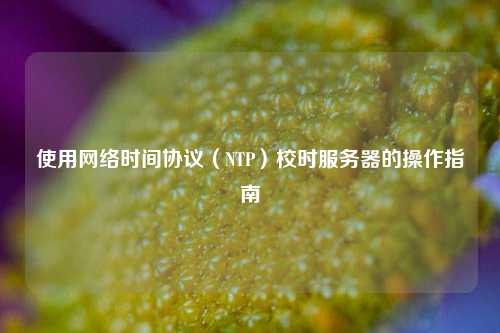 使用網(wǎng)絡(luò)時間協(xié)議（NTP）校時服務(wù)器的操作指南