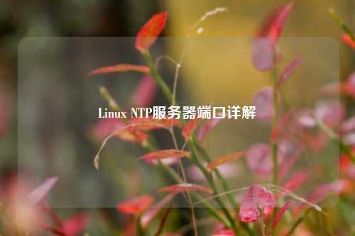 Linux NTP服務(wù)器端口詳解