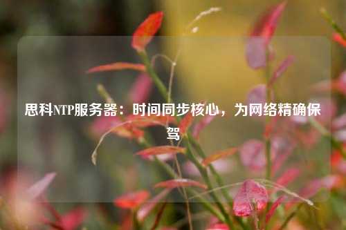 思科NTP服務(wù)器：時(shí)間同步核心，為網(wǎng)絡(luò)精確保駕