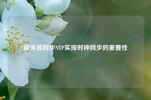 服務(wù)器同步NTP實(shí)現(xiàn)時(shí)鐘同步的重要性