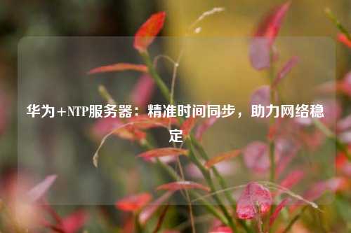 華為+NTP服務(wù)器：精準(zhǔn)時(shí)間同步，助力網(wǎng)絡(luò)穩(wěn)定