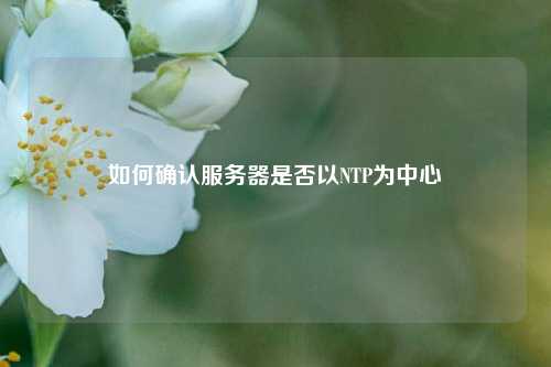 如何確認(rèn)服務(wù)器是否以NTP為中心