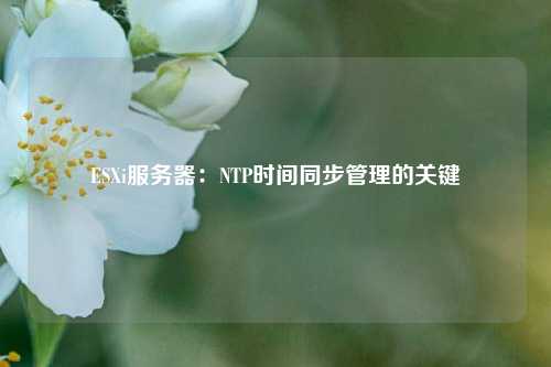 ESXi服務(wù)器：NTP時(shí)間同步管理的關(guān)鍵