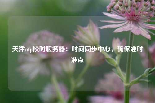 天津ntp校時服務(wù)器：時間同步中心，確保準(zhǔn)時準(zhǔn)點